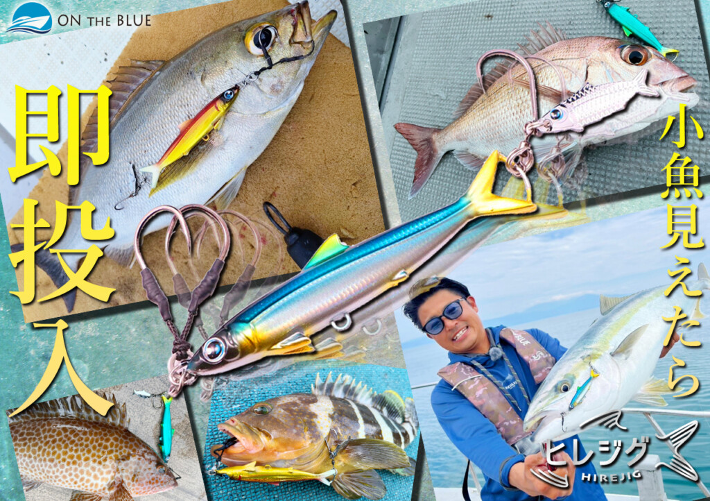 魚　@スピード発送 SLJ】釣った魚が小魚を吐いた、ベイトフィッシュの群れが目視や