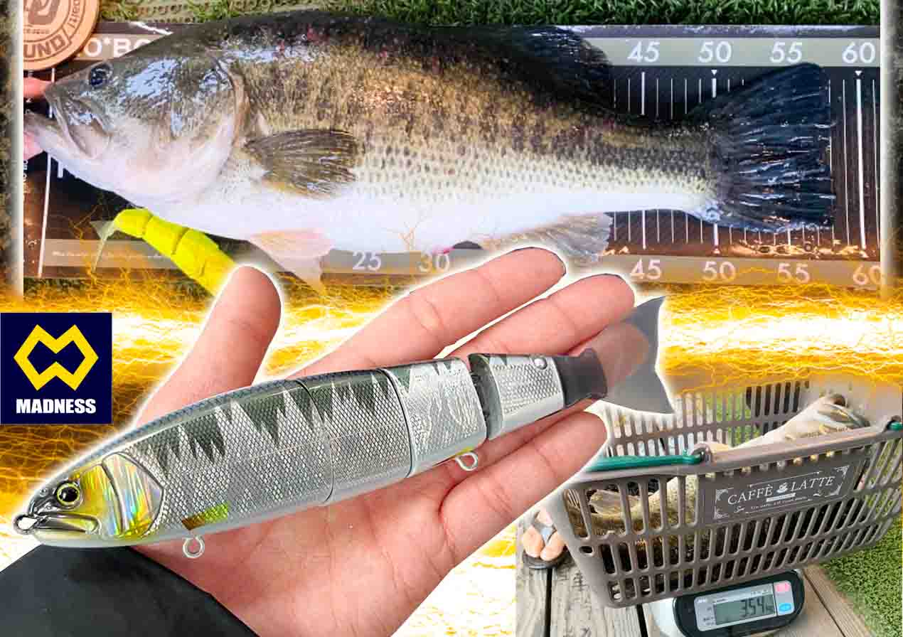 相模湖で58cm/3.54kg捕獲】リリース早々全国に放たれる“魔力