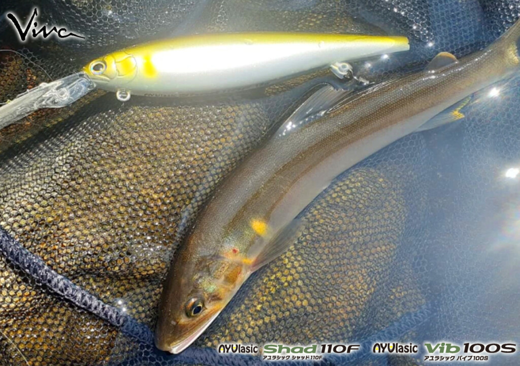実釣＆現場主義】多数拘りルアーを揃えるあのルアーブランドが