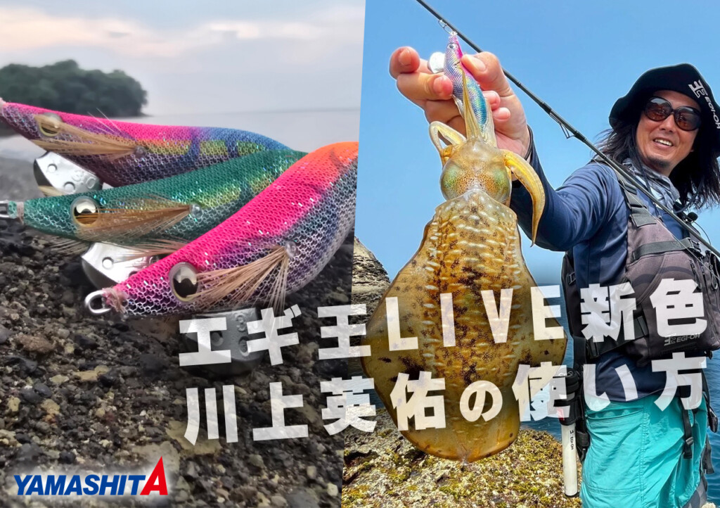 エギ王LIVE」新色3色を川上英佑はこう使う／ぶちぶちコーラル