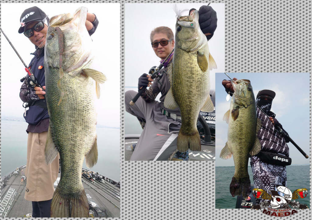 夏本番の琵琶湖であのワームが効いている | 釣りの総合ニュースサイト