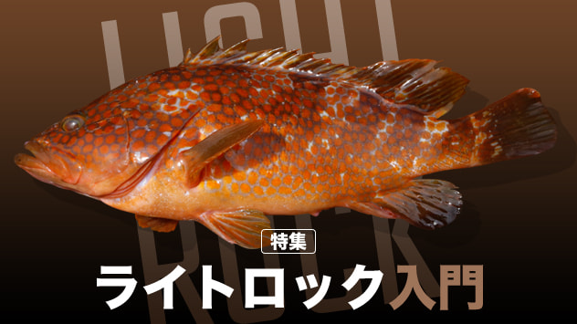 ライトロック入門