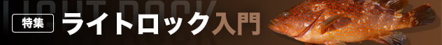 ライトロック入門