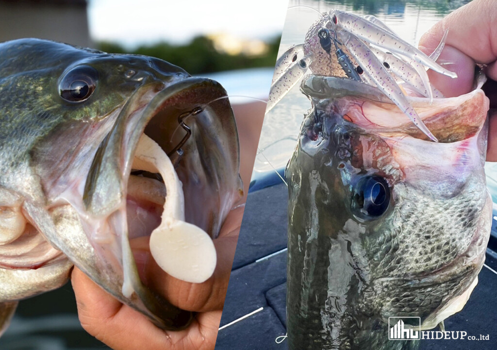 今～秋まで釣れる！新旧2つのワームとは | 釣りの総合ニュース