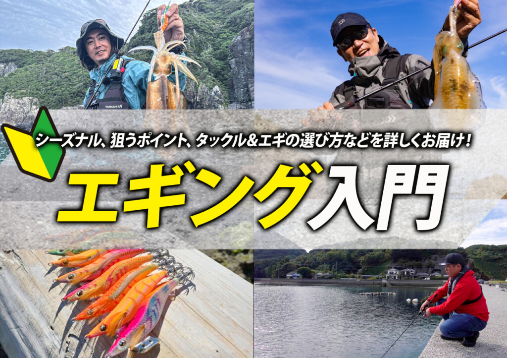 シーズナル、狙うポイント、タックル＆エギの選び方などを詳しくお届け