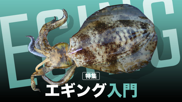 エギング入門2025