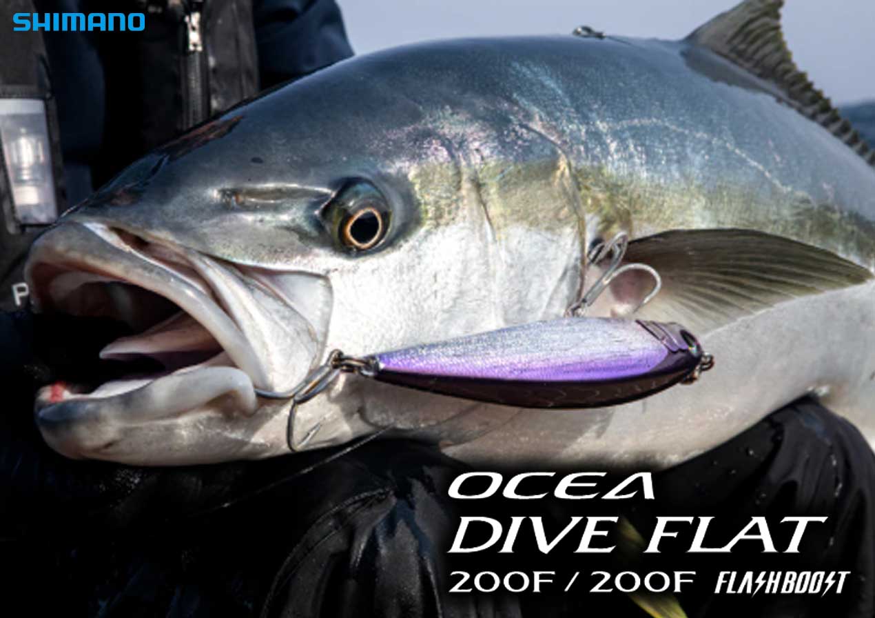 ヒラマサキャスティング】海外でもヘビーユーザーの多い「ダイブ