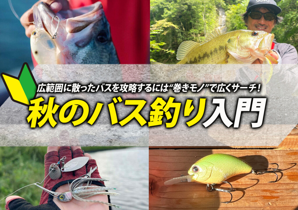 食欲の秋】広範囲に散ったバスを攻略するには“巻きモノ”で広くサーチ