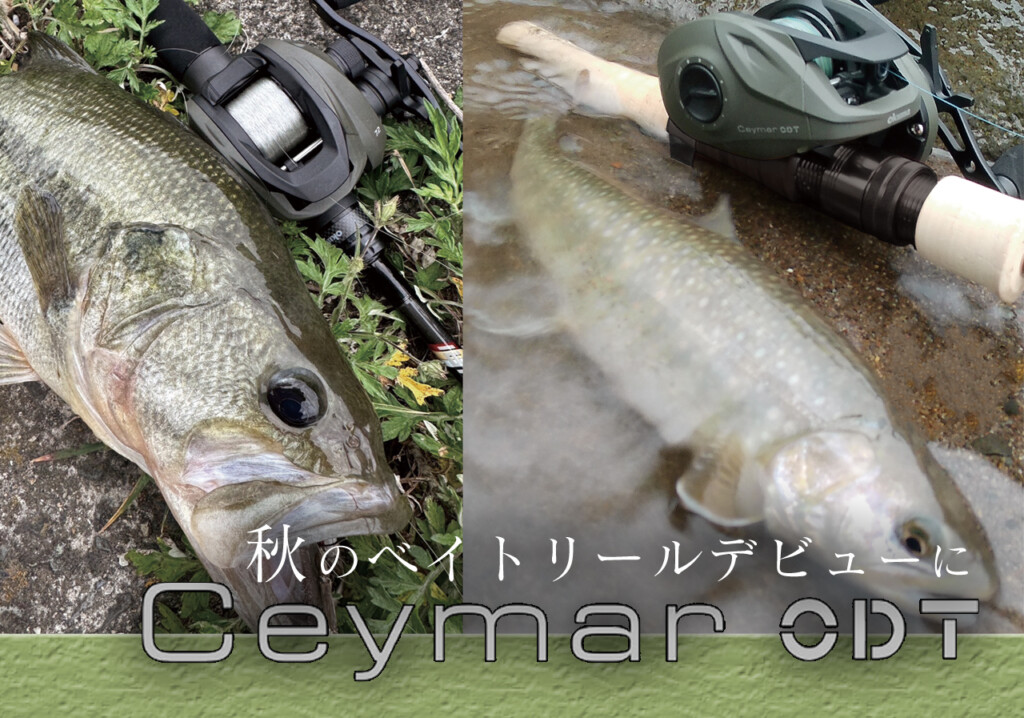 秋のベイトリールデビュー】予算1万円台でバスもトラウトも遊びつくす