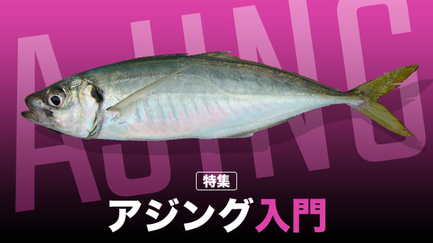 アジング入門