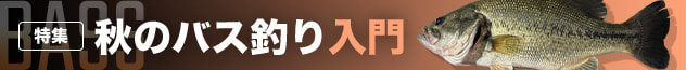 秋のバス釣り入門