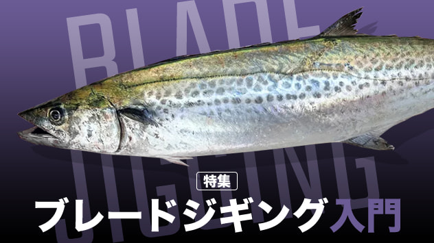 ブレードジギング入門