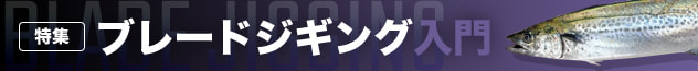 ブレードジギング入門