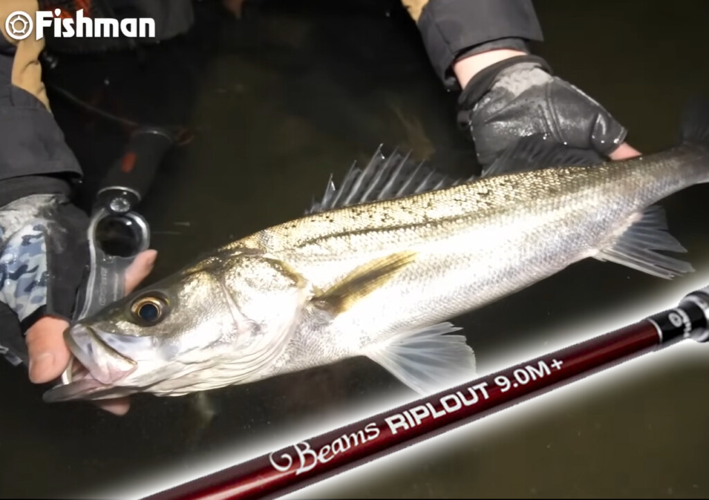 遠征先の初場所で土屋きゅうりが選んだ1本「Beams RIPLOUT 9.0M+