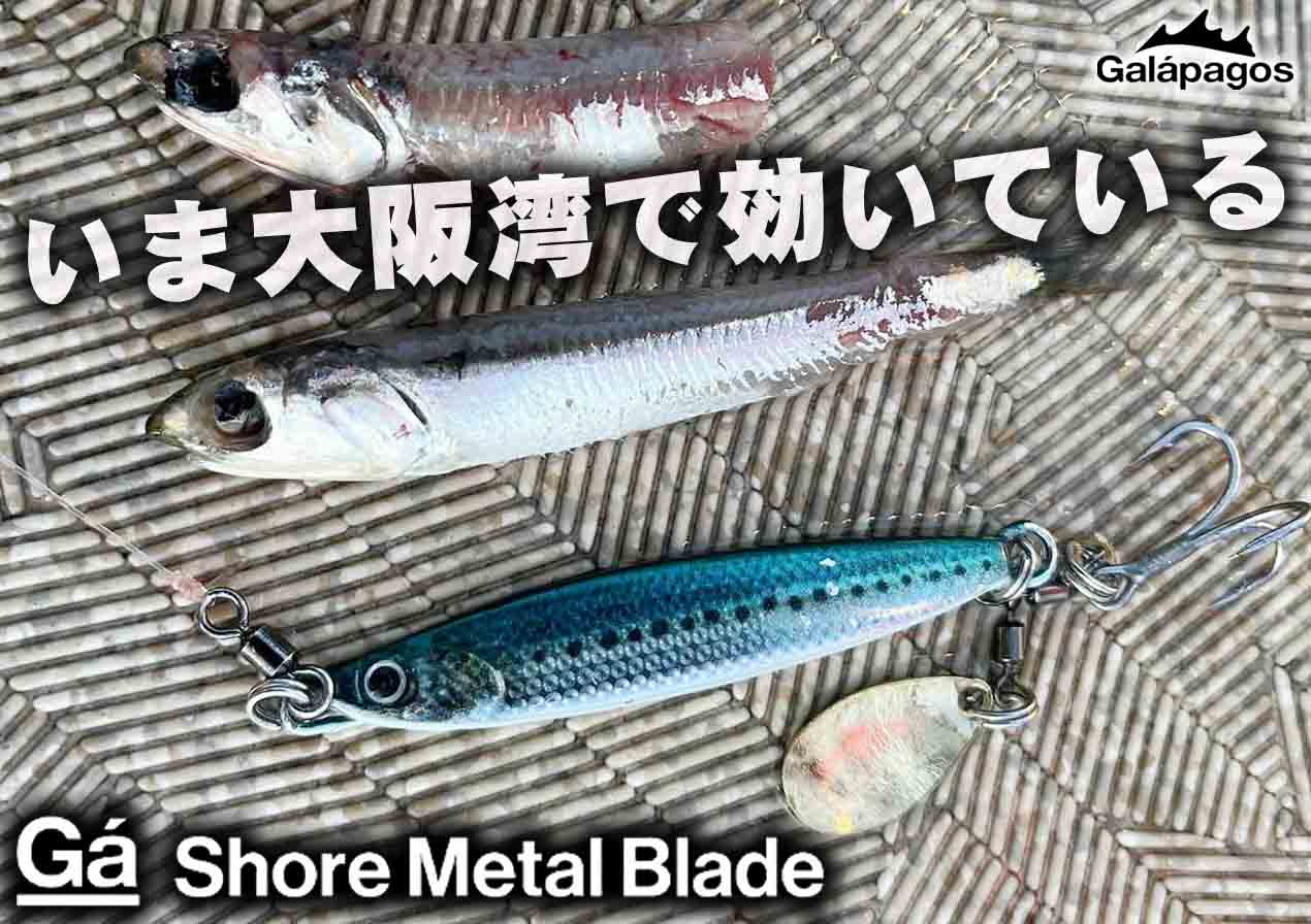 いま、大阪湾のサゴシ・サワラに効いている「Gáショアメタルブレード