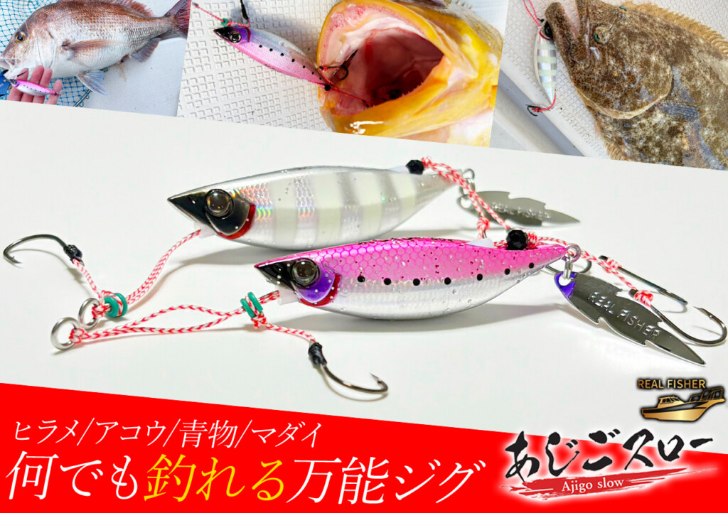ヒラメ/アコウ/青物/マダイ】食欲の秋、“小アジ形状の何でも釣れる万能