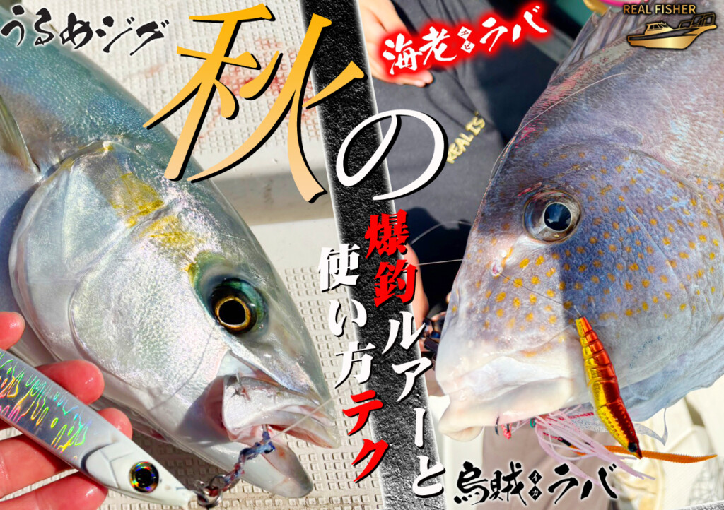 タイラバ/ジギング】初心者＆経験の浅いアングラーに寄り添う“REAL