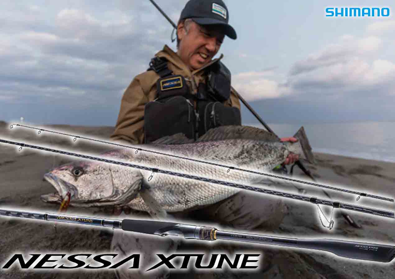 サーフゲームで求められる粘りとパワーを徹底的に強化し「ネッサ