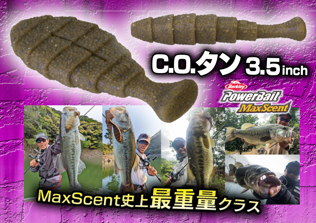マックスセント史上最重量級のフラットワーム！「C.O.タン（シーオー