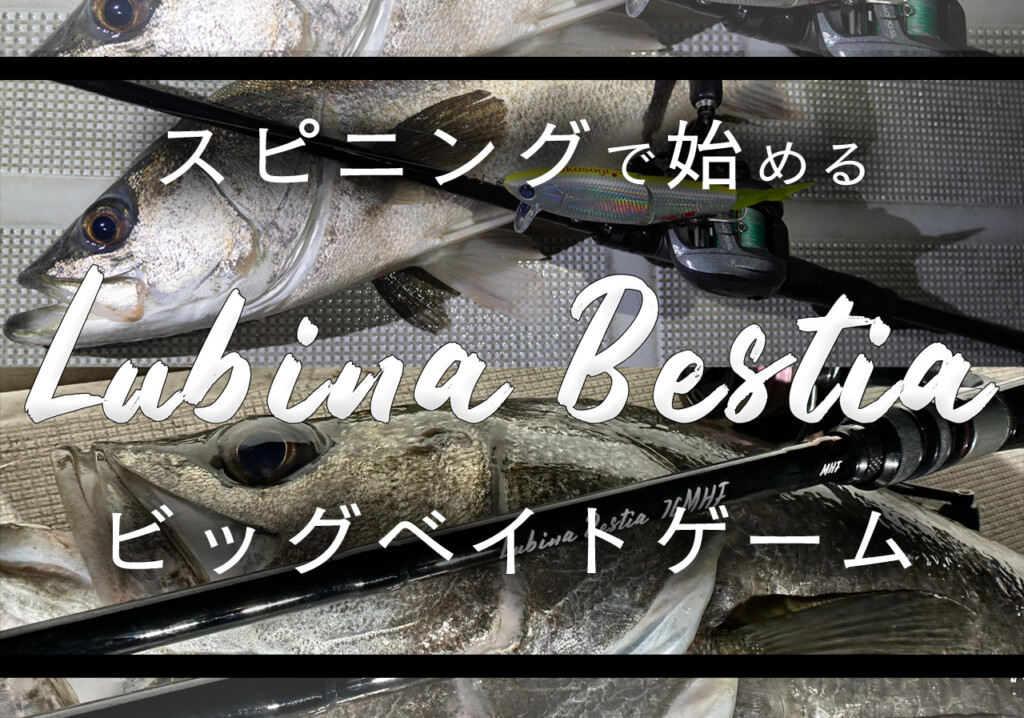 落ち鮎パターンにも】スピニングで始めるビッグベイトゲーム！「ルビナ