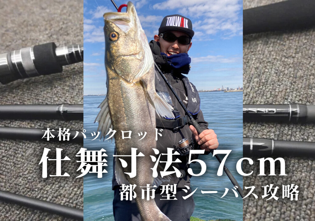 仕舞寸法57cm】本格パックロッドで攻略、都市型シーバスゲーム | 釣り
