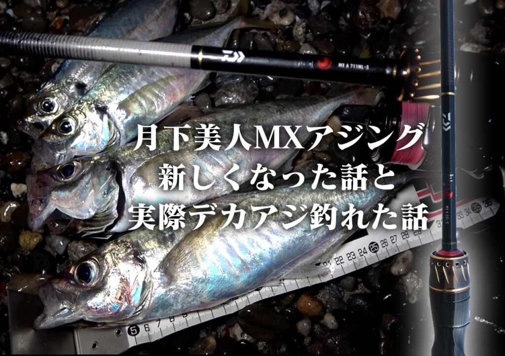 アジング引退　月下美人 Amazon.co.jp: ダイワ(DAIWA) アジングロッド 月下美人 MX
