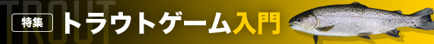 トラウトゲーム入門
