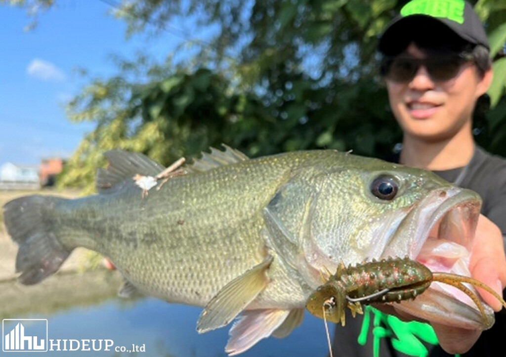 ルアー　2点売り　※バス釣り 訳有 ルアー セット バス釣り ハードルアー 19個 Y12wkl19I バス釣り