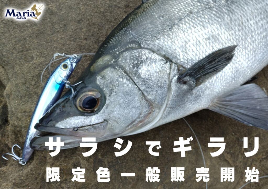 サラシの中でギラリ】マリアの「チョビー SF125/限定メタルカラー