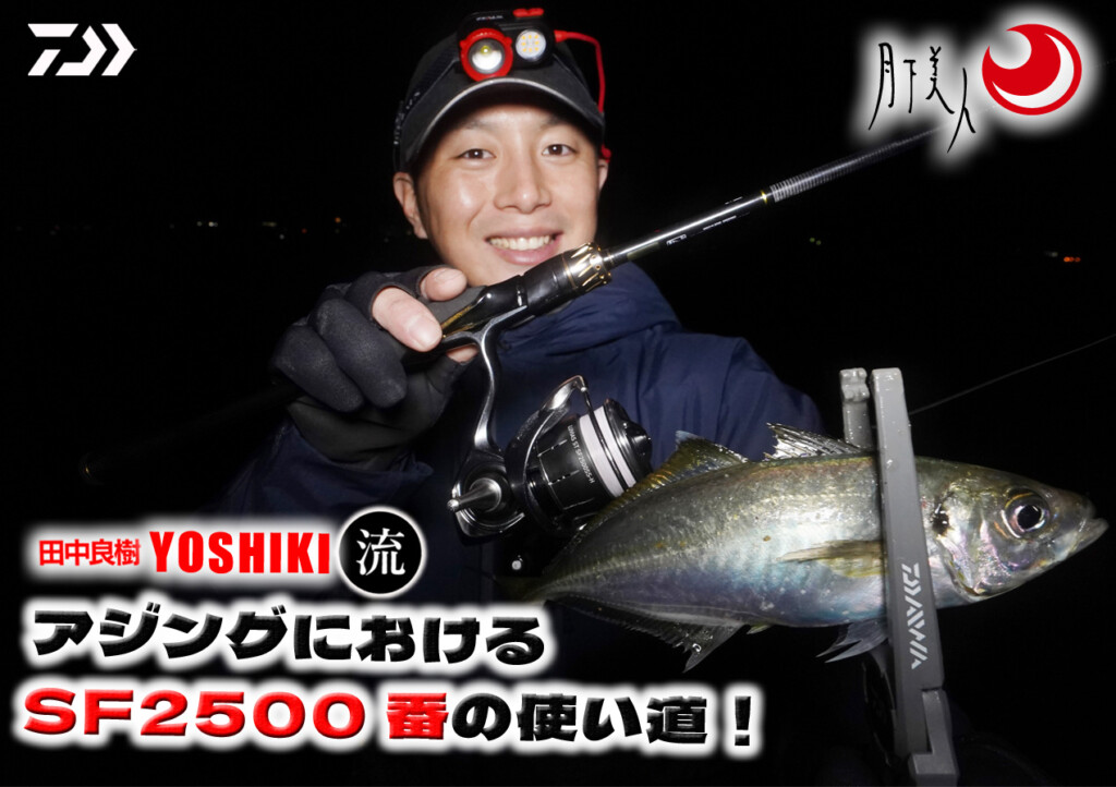 アジングにおけるSF(スーパーフィネス)シリーズ2500番の使い道！【田中