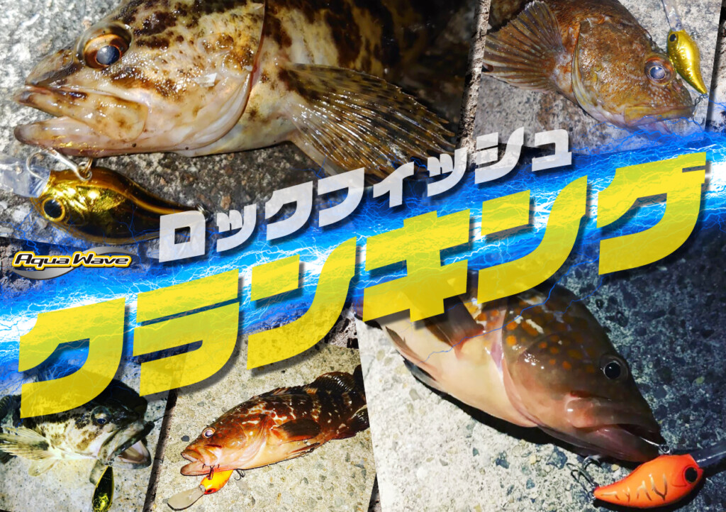 陸っぱり】素早く広範囲を探れてサイズも出る！ロックフィッシュを