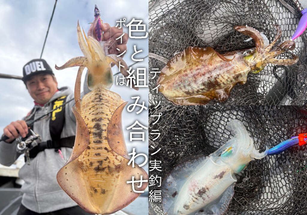池内修次の毎日イカ曜日】ティップラン実釣編1日目！釣果のポイントは