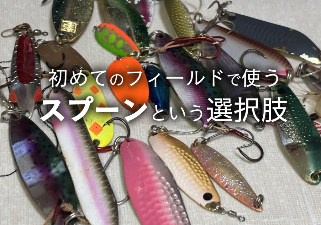 初めてのフィールドで使う「スプーン」という選択肢 | 釣りの総合
