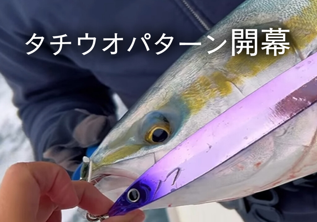タチウオパターン開幕】大型青物を攻略するリアル系バーチカルジグ