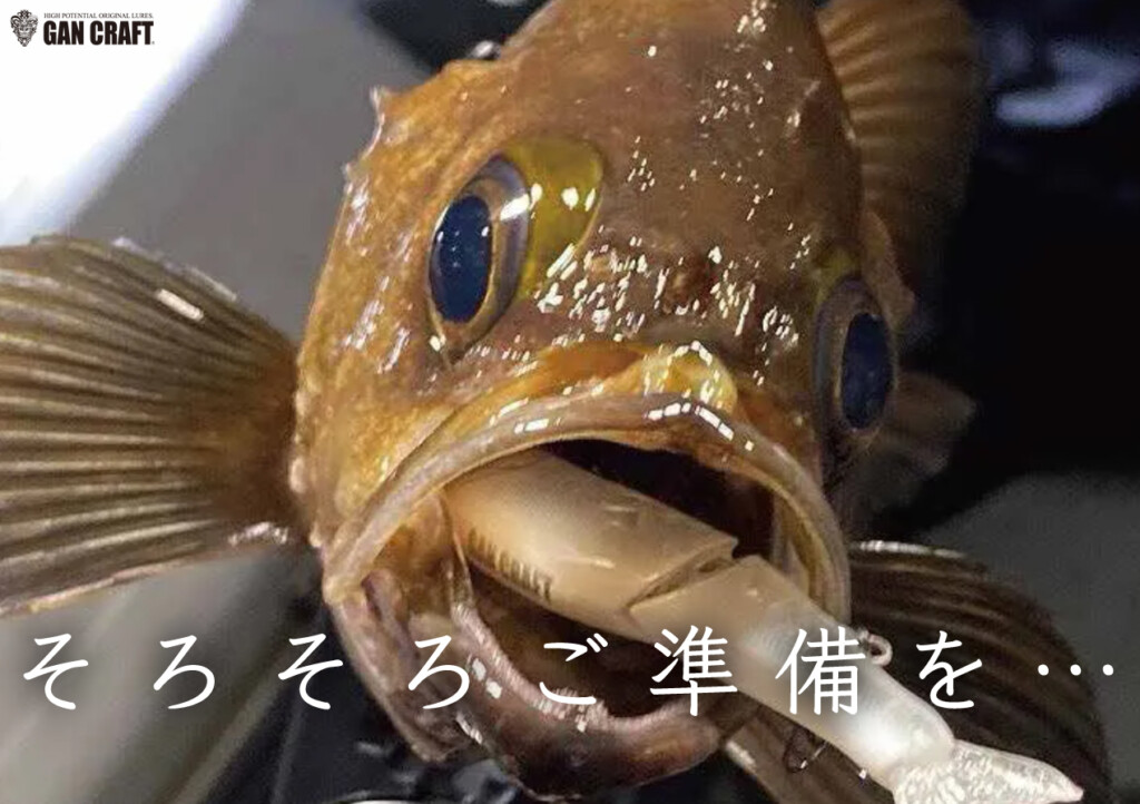 バス釣り引退セット　ジョイクロ　メタマグDC タイムセール バス釣り引退セット