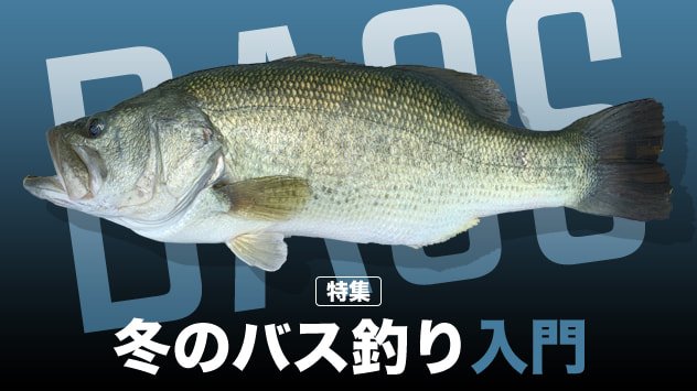 冬のバス釣り入門2025