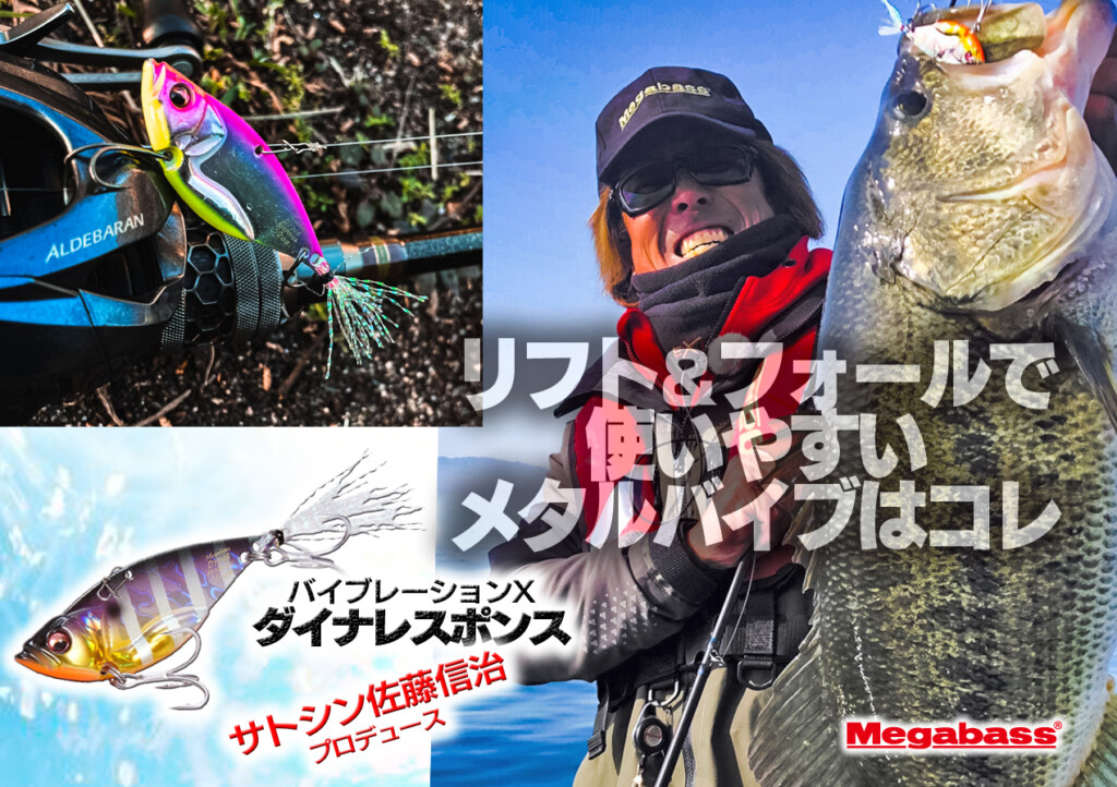 冬のバス釣り！リフト＆フォールで使いやすいメタルバイブはコレ