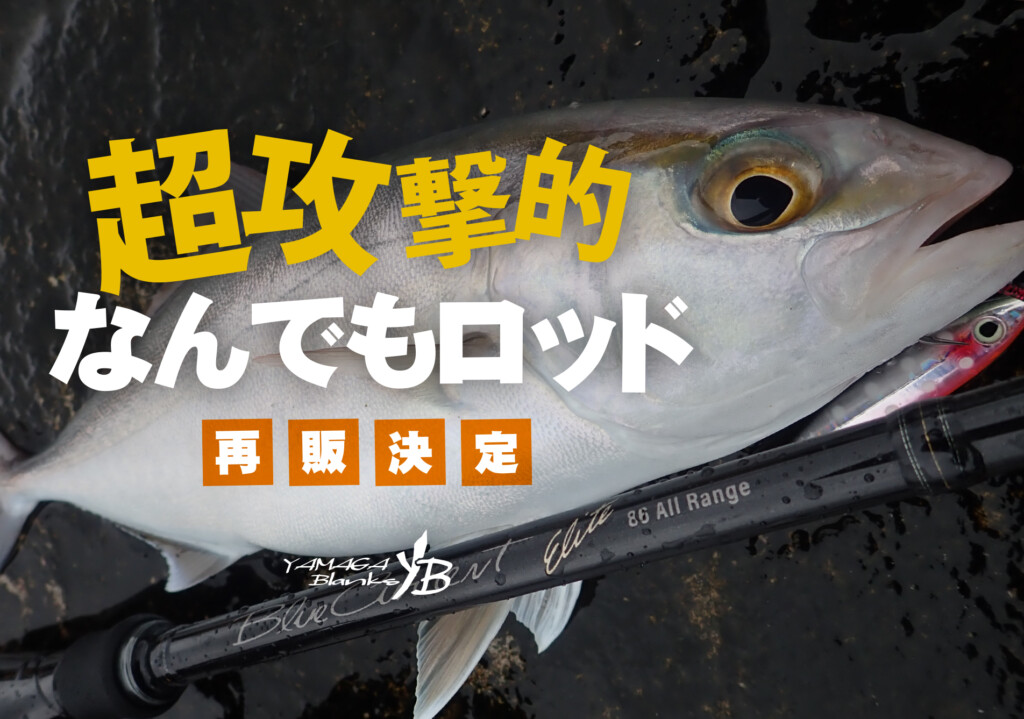 今年最後のチャンス】“攻めのなんでもロッド”が再登場！YBメンバーズ