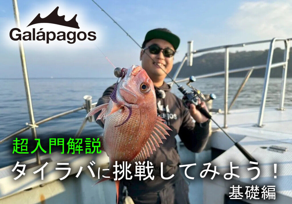 超入門解説】狙うは天然マダイ！今年は「タイラバ」に挑戦してみよう