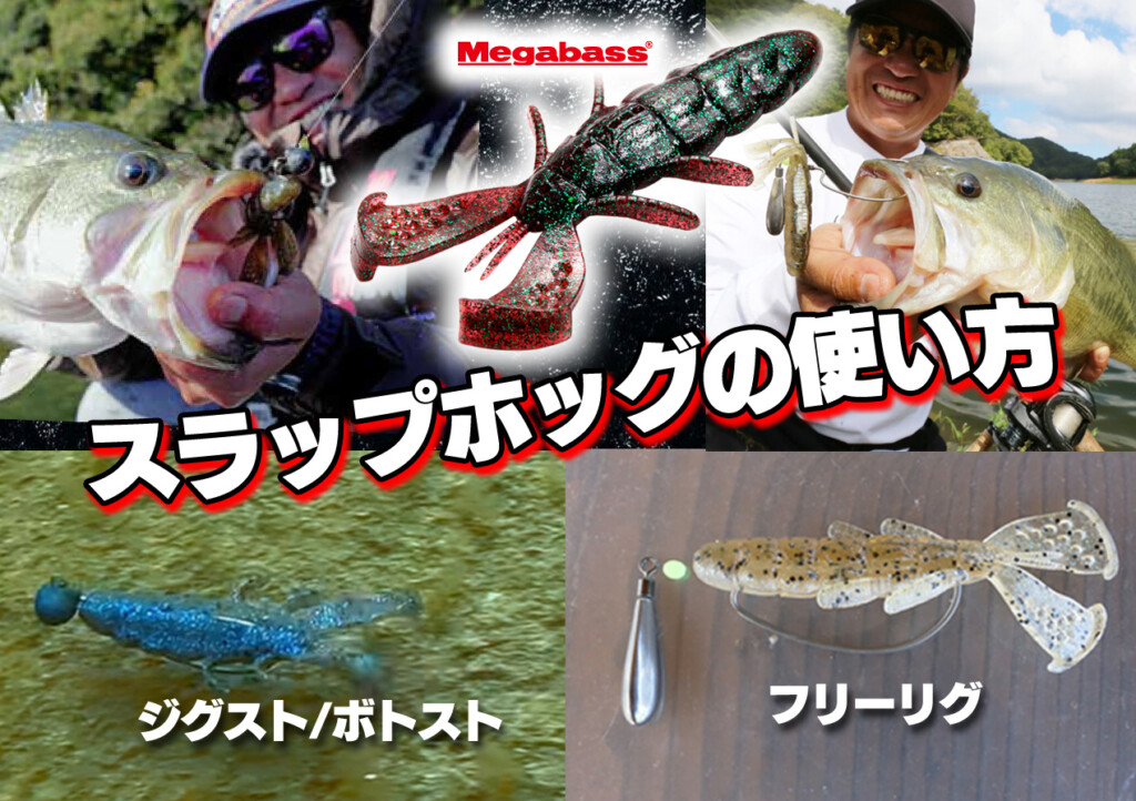 メガバス×キムケンのコラボワーム「スラップホッグ3.5inch」の使い方