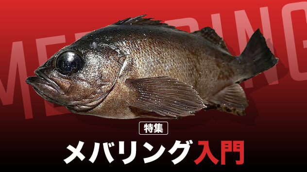 メバリング入門2025