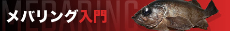 メバリング入門2025