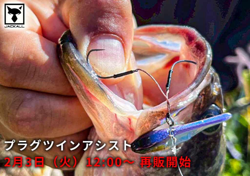 ハードルアー革命】話題の“カバーチューン“フック「プラグツイン