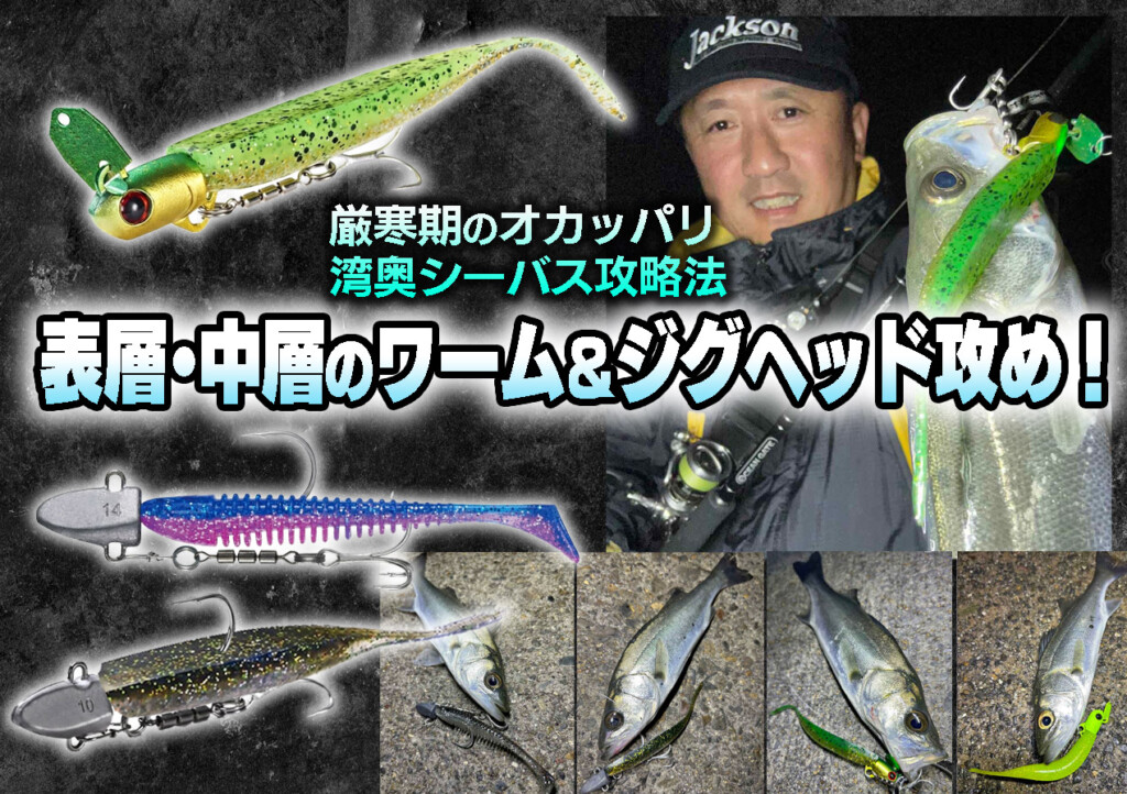 厳寒期のオカッパリ湾奥シーバス攻略法】表層・中層のワーム