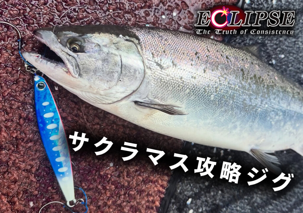 サクラマスを魅了するジグ】「テミンク＆リンネ」専用カラーが効果抜群