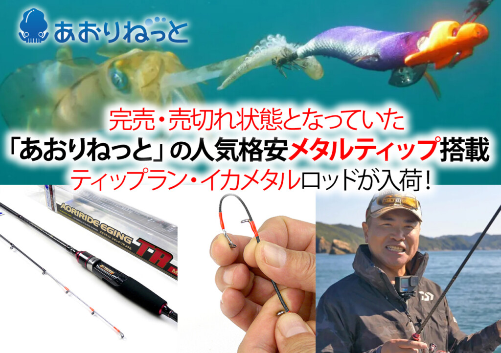 実売1万円台前半】完売で売切れ中だった「あおりねっと」人気格安