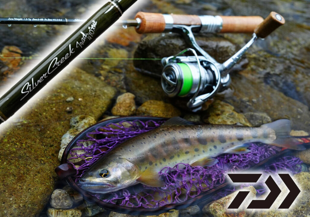 Daiwa 5'8\