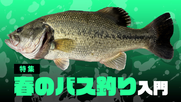春のバス釣り入門