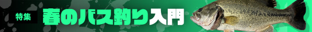 春のバス釣り入門
