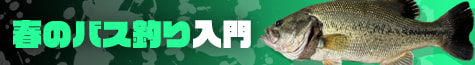 春のバス釣り入門